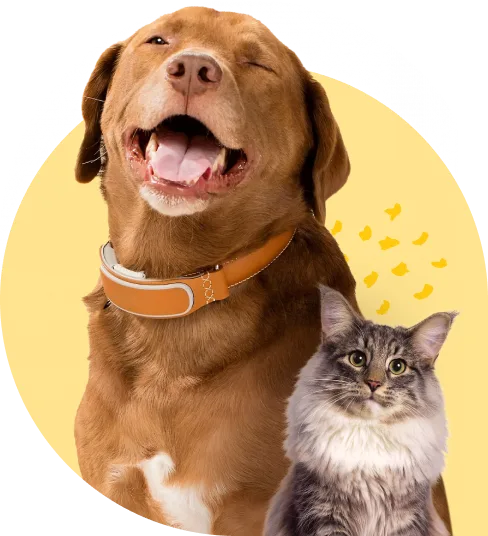 home_pets.png